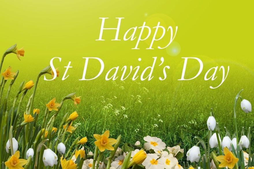 Happy St David's Day - Funny Welsh Sayings, phrases and words!