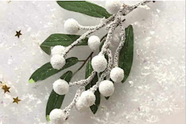 Christmas Gifts & Treats